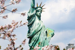 Japan_Sakura_2025 (62/79)